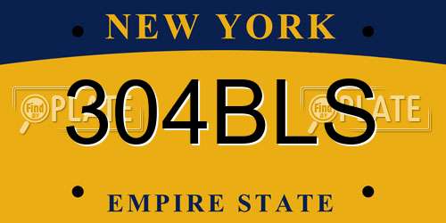 304BLS New York License Plate