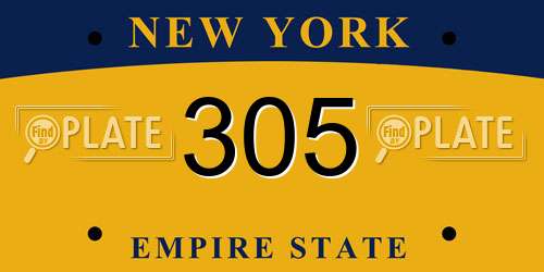 305 New York License Plate