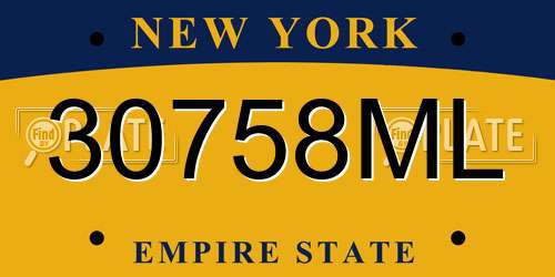 30758ML New York License Plate