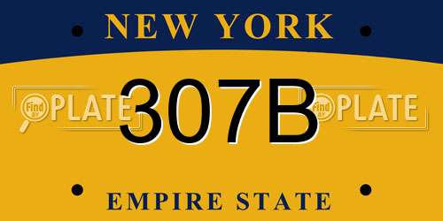 307B New York License Plate