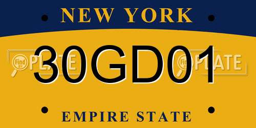 30GD01 New York License Plate