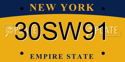 30SW91 New York License Plate
