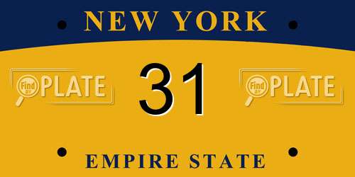 31 New York License Plate