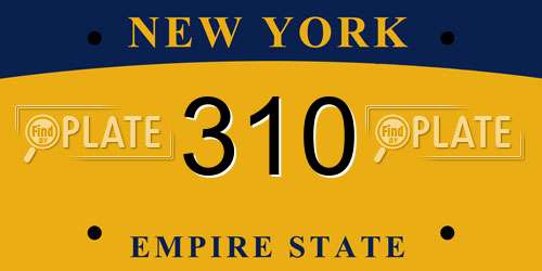 310 New York License Plate