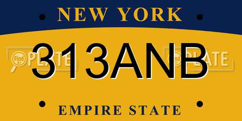 313ANB New York License Plate