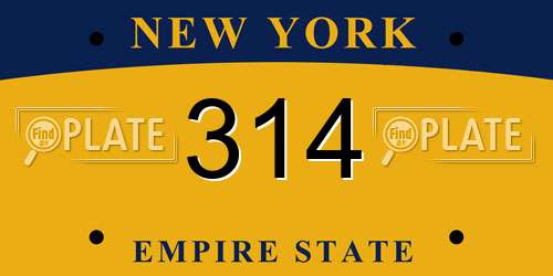 314 New York License Plate