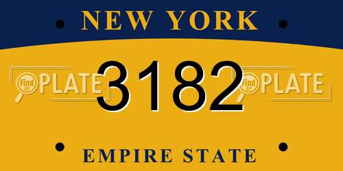 3182 New York License Plate