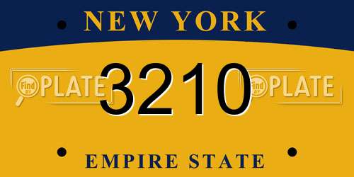 3210 New York License Plate