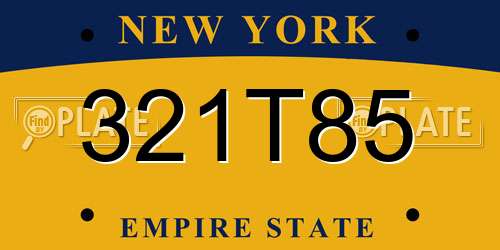 321T85 New York License Plate
