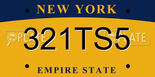 321TS5 New York License Plate