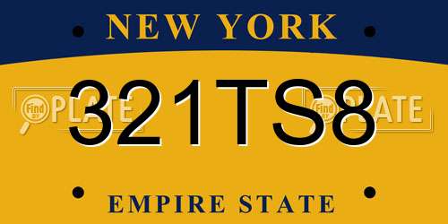 321TS8 New York License Plate