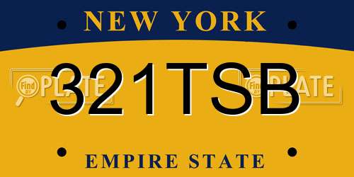 321TSB New York License Plate