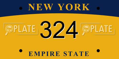 324 New York License Plate