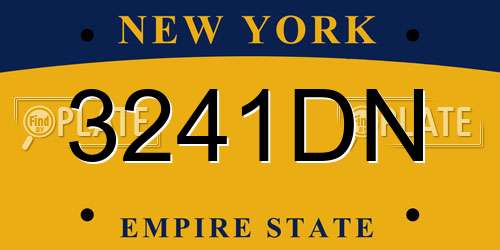 3241DN New York License Plate