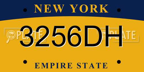 3256DH New York License Plate