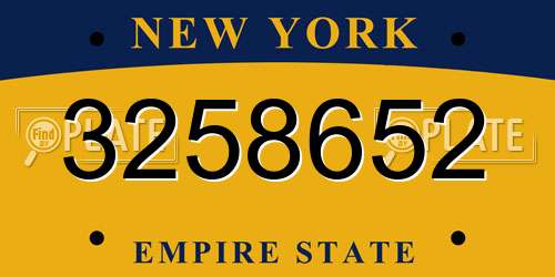 3258652 New York License Plate