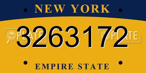 3263172 New York License Plate