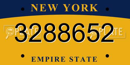 3288652 New York License Plate