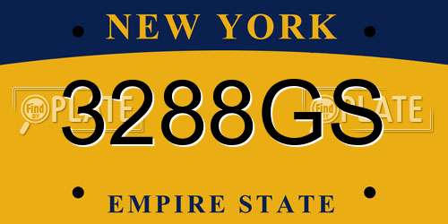 3288GS New York License Plate