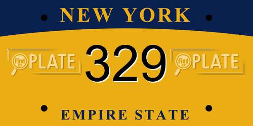 329 New York License Plate
