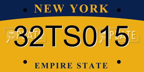 32TS015 New York License Plate