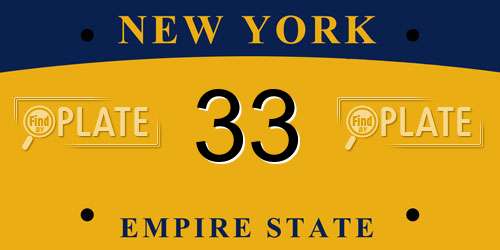 33 New York License Plate