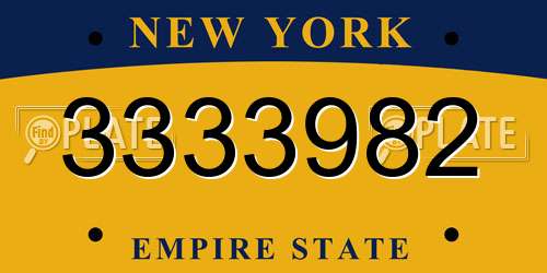 3333982 New York License Plate