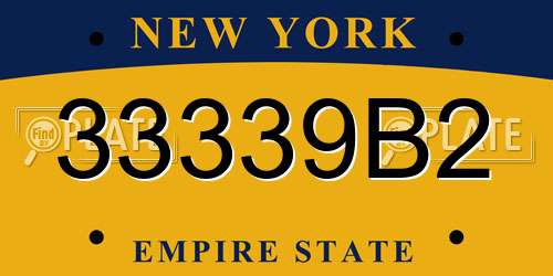 33339B2 New York License Plate