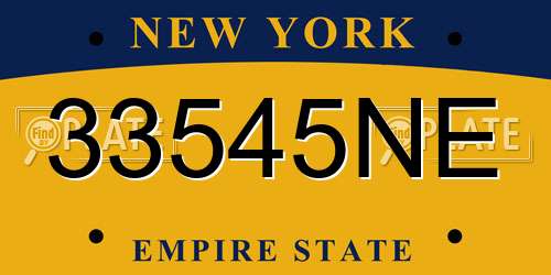 33545NE New York License Plate
