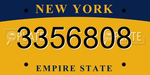 3356808 New York License Plate