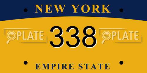 338 New York License Plate