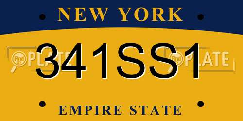341SS1 New York License Plate