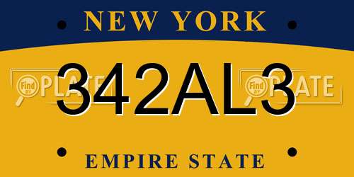 342AL3 New York License Plate
