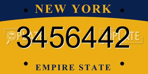 3456442 New York License Plate