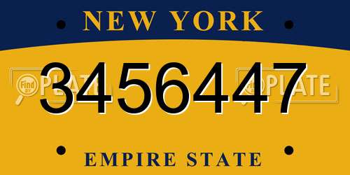 3456447 New York License Plate