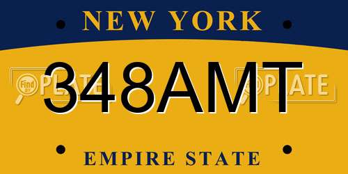 348AMT New York License Plate