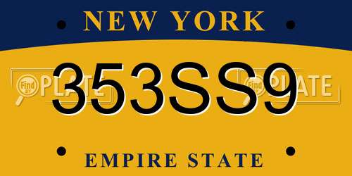 353SS9 New York License Plate