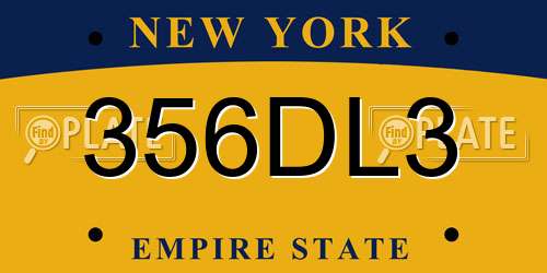 356DL3 New York License Plate
