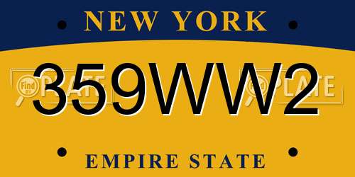 359WW2 New York License Plate