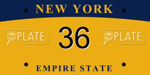36 New York License Plate