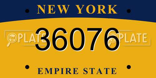 36076 New York License Plate