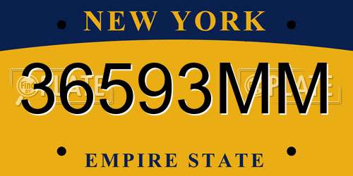 36593MM New York License Plate
