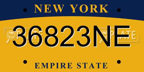 36823NE New York License Plate