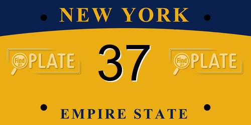 37 New York License Plate