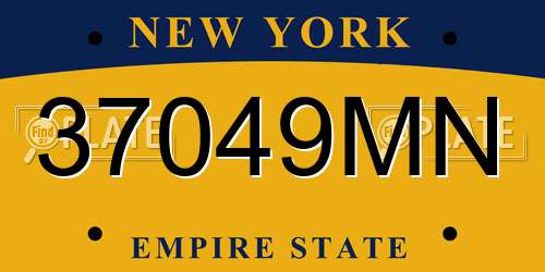 37049MN New York License Plate