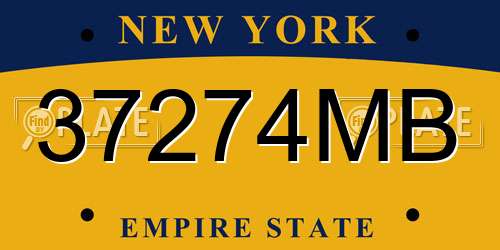 37274MB New York License Plate