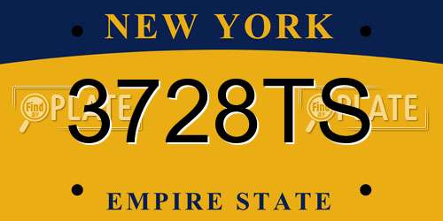 3728TS New York License Plate