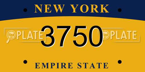 3750 New York License Plate