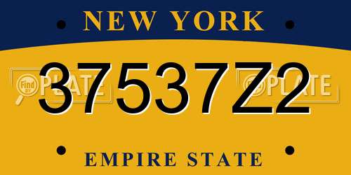 37537Z2 New York License Plate