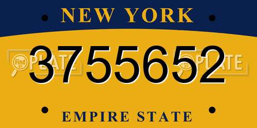 3755652 New York License Plate
